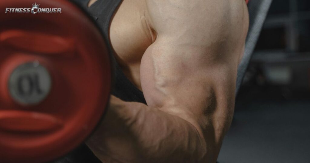 bicep-dumbbell-exercises